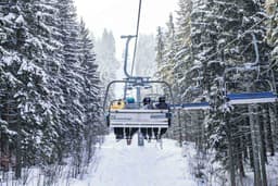 Vier Personen sitzen im Lift und fahren durch den verschneiten Wald